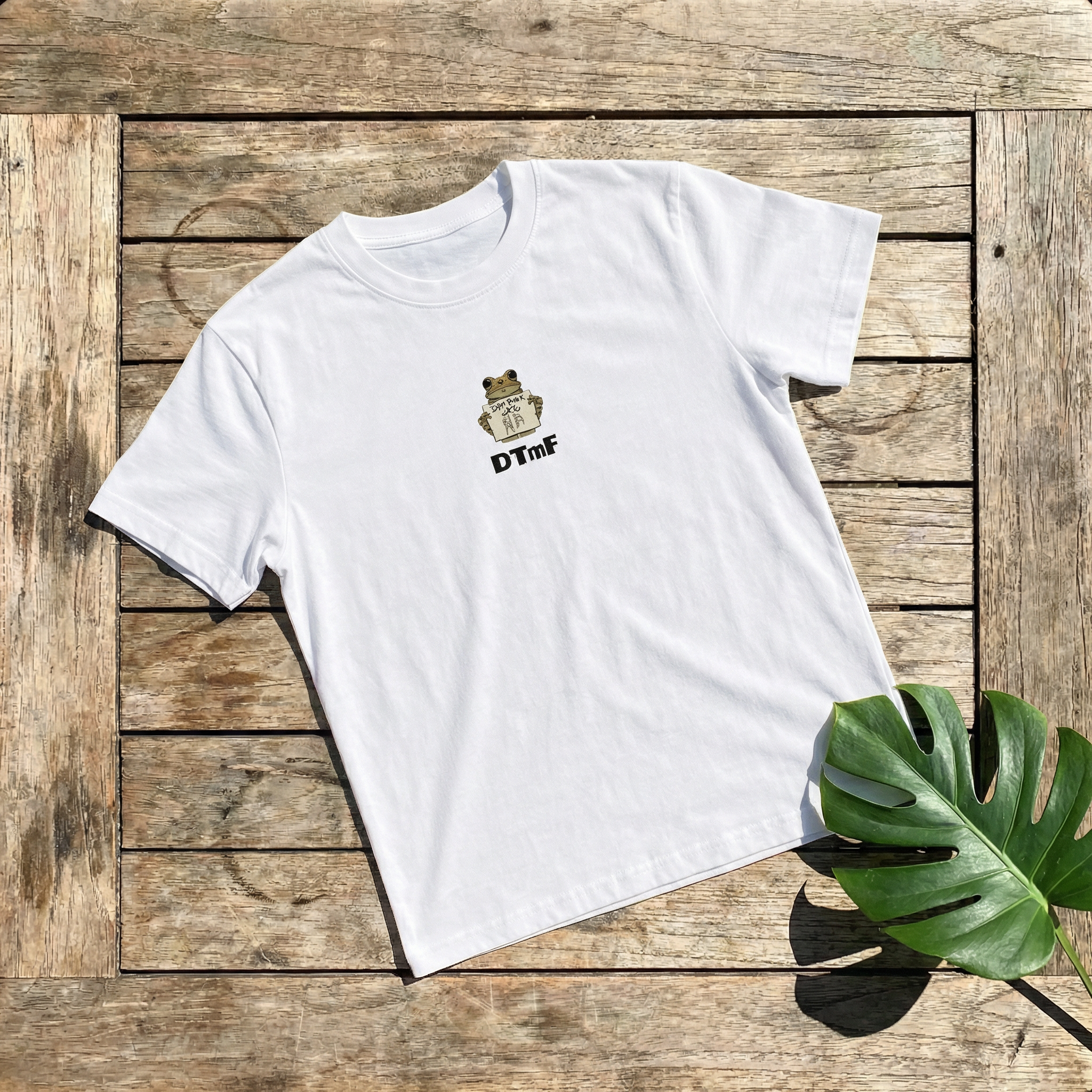 CAmiSeTA "Más Fotos"